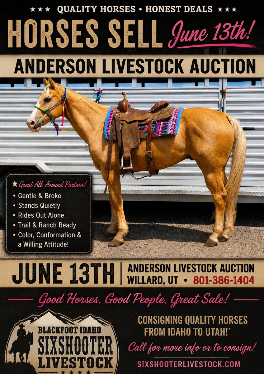 Anderson Livestock Auction