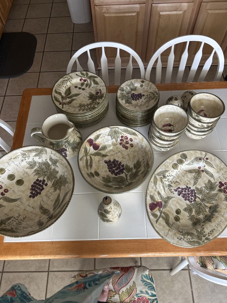 Certified International Grapes and Leaves 5-Piece Dinnerware Set, Rustic Fruit Motif, UsedGood