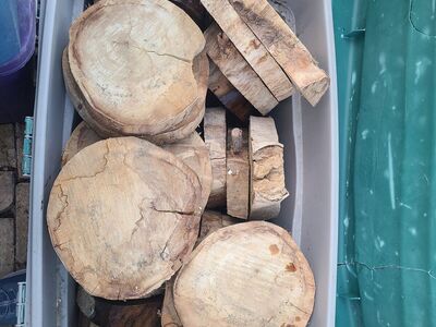 Cottonwood Wood Round Cookies, $5 each