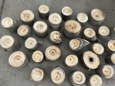 Rustic Aspen Log Tea Candle Holders - Various sizes.