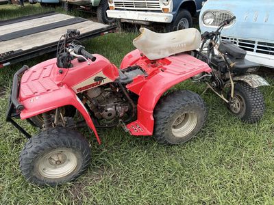 Atv & tote goat