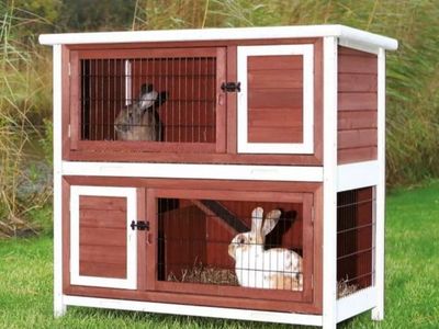 2-Story Rabbit Hutch Medium