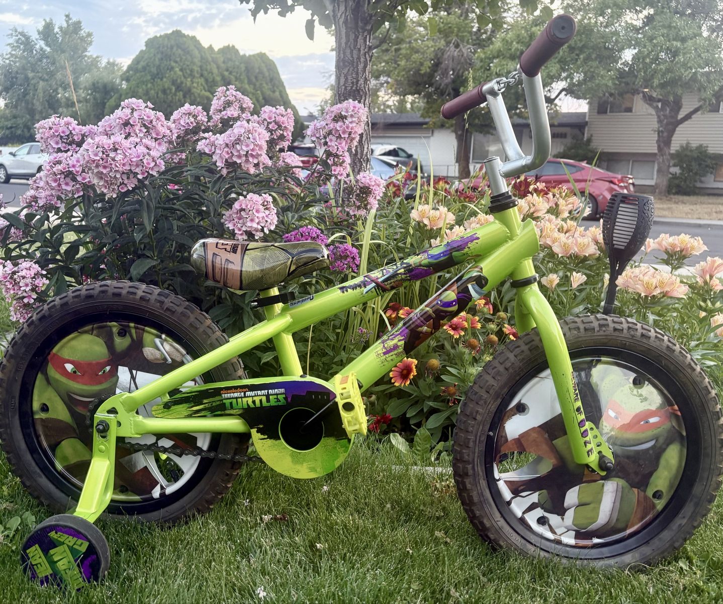 16” Teenage Mutant Ninja Turtles Bike like new