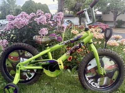 16” Teenage Mutant Ninja Turtles Bike like new