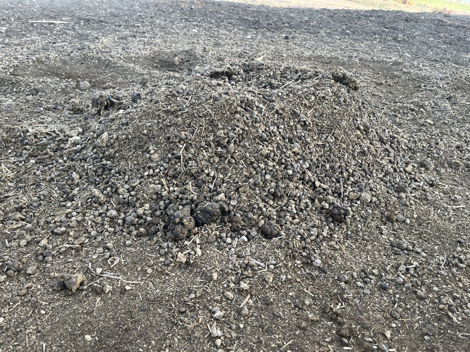 Main image 5