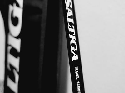 Daiwa Saltiga Spinning Rod for travel