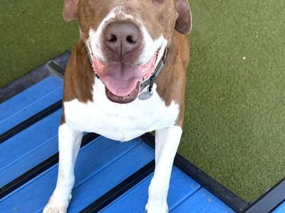 Hello my name is Garth