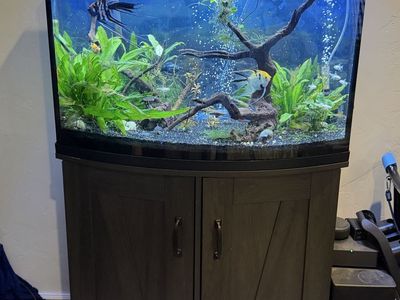 36 Gallon Bowfront tank with everything
