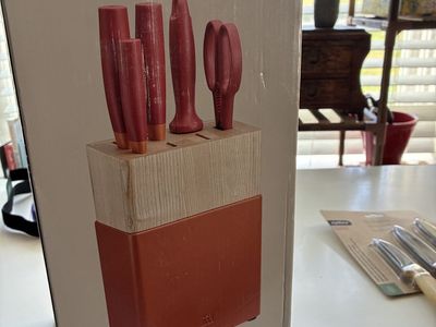 Fund Raising for young women with medical bills - ZWILLING Now S 6-Piece Knife Block Set - Vibrant Red Handles, Made in Germany