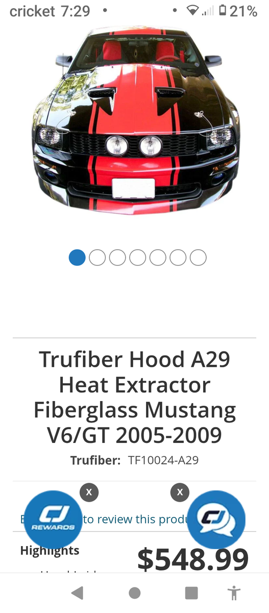 Mustang trufiber hood