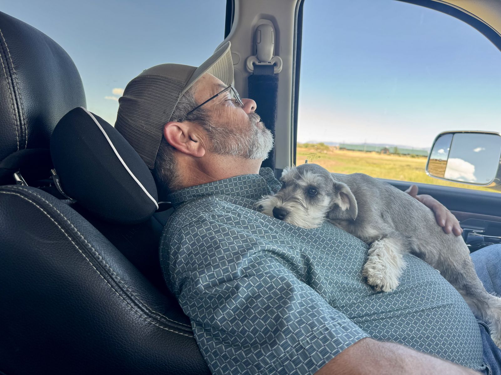 AKC Male Miniature Schnauzer