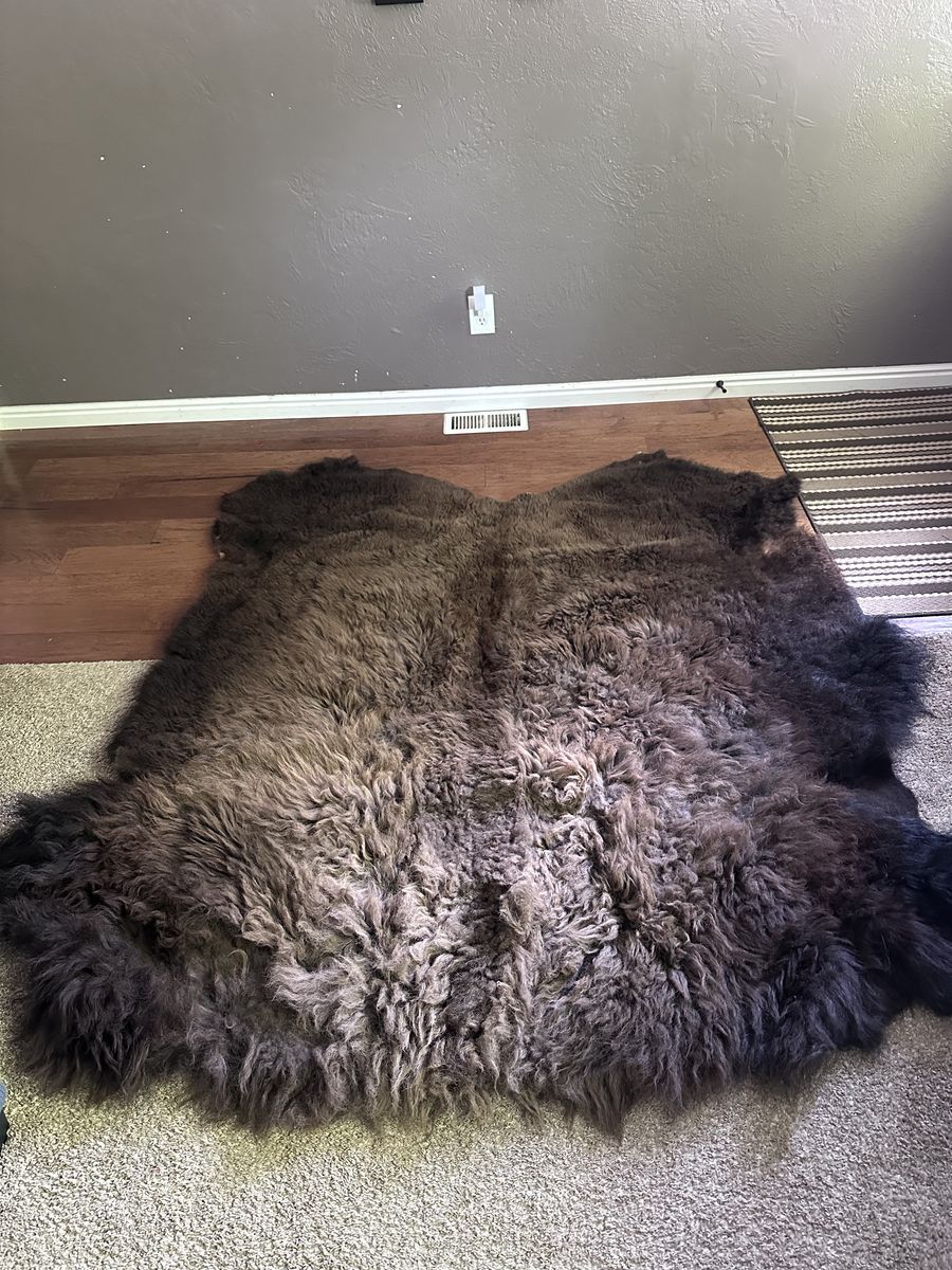 Buffalo hide
