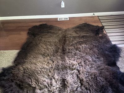 Buffalo hide