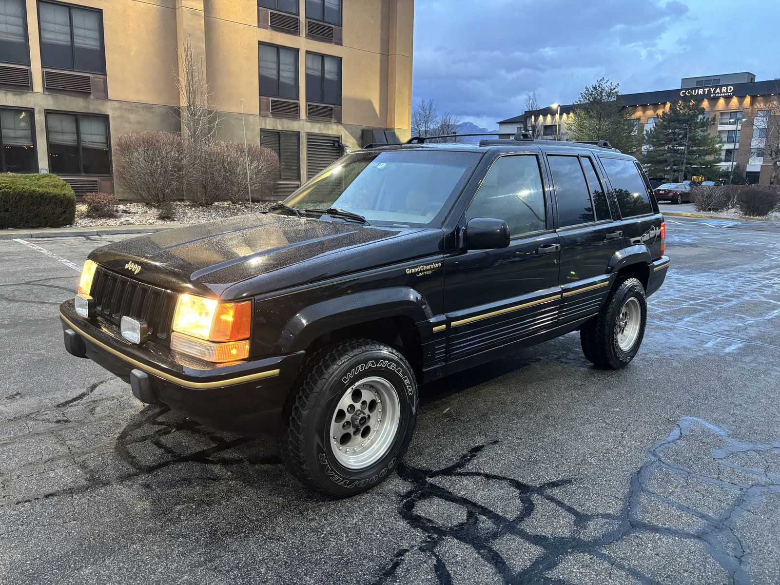1995 JEEP GRAND CHEROKEE Limited