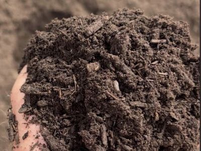 Rich golden compost 6 cubit yards delivered!