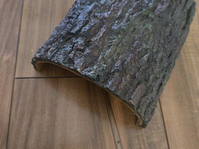 medium sized reptile hide