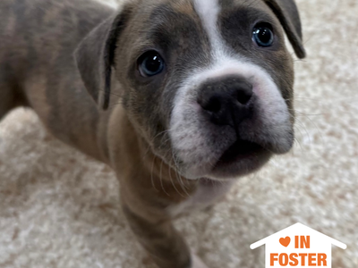 Hello my name is MacGuffin