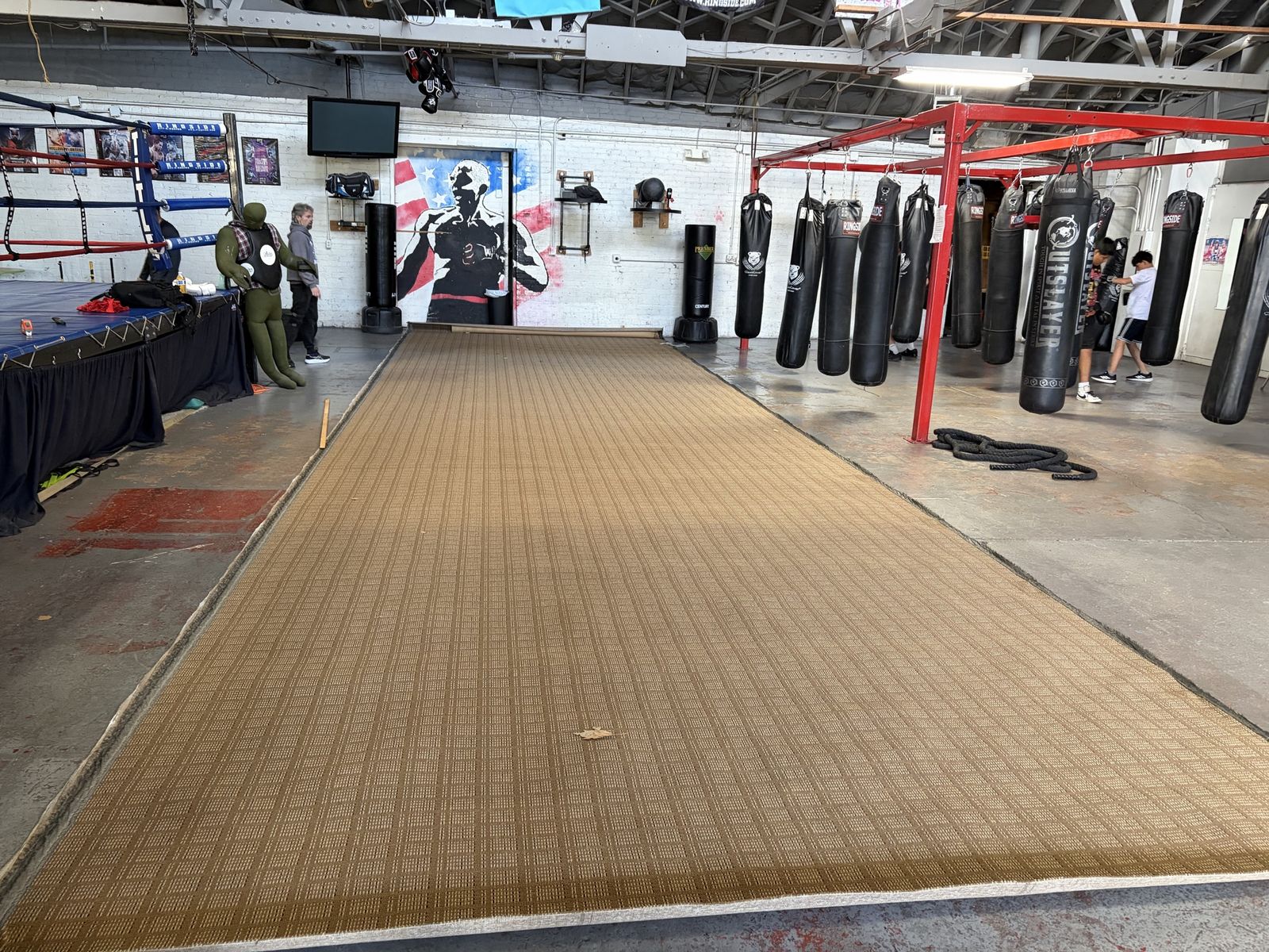 Large carpet remnant