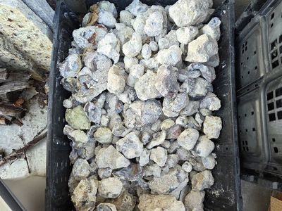 GEODES! Mostly pieces, some whole..