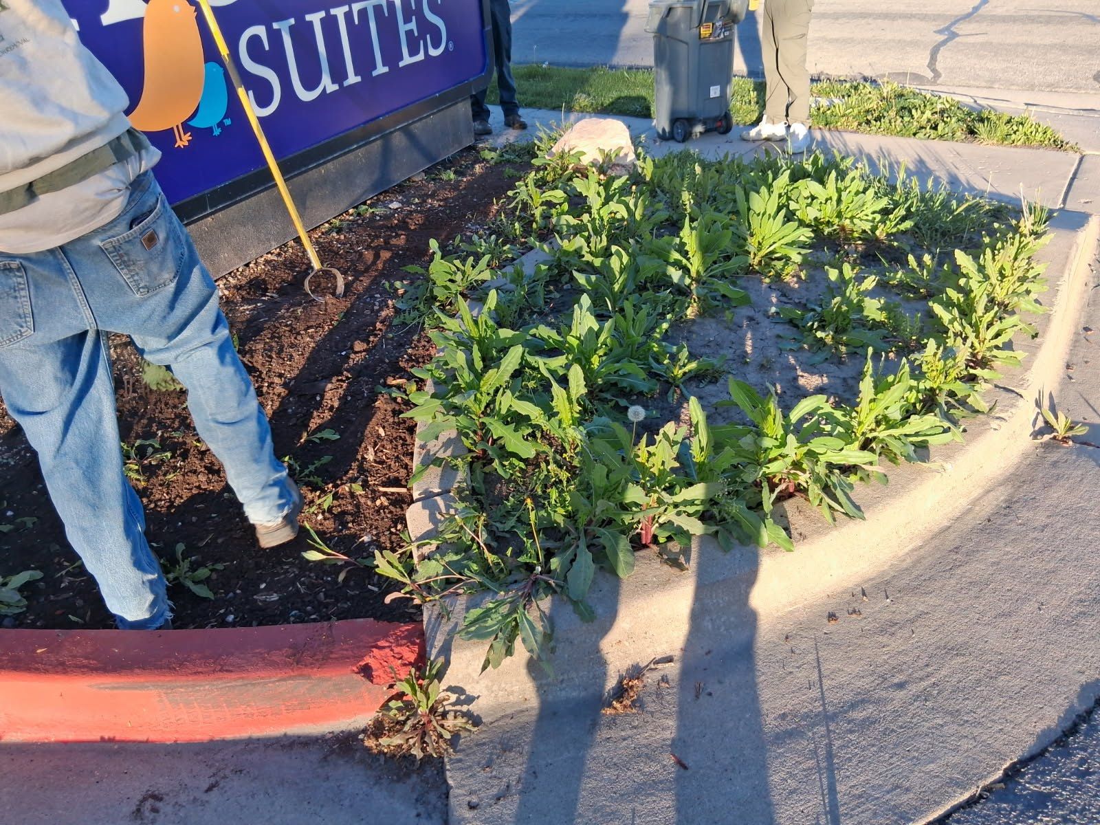 Sprinkler Repair & Irrigation Installation | Drainage | Sod | Retaining Walls | Yard Clean up