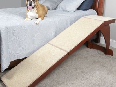 Dog ramp for bed