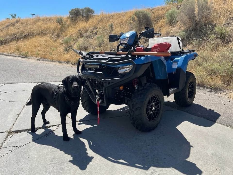 2025 Suzuki 750 KingQuad