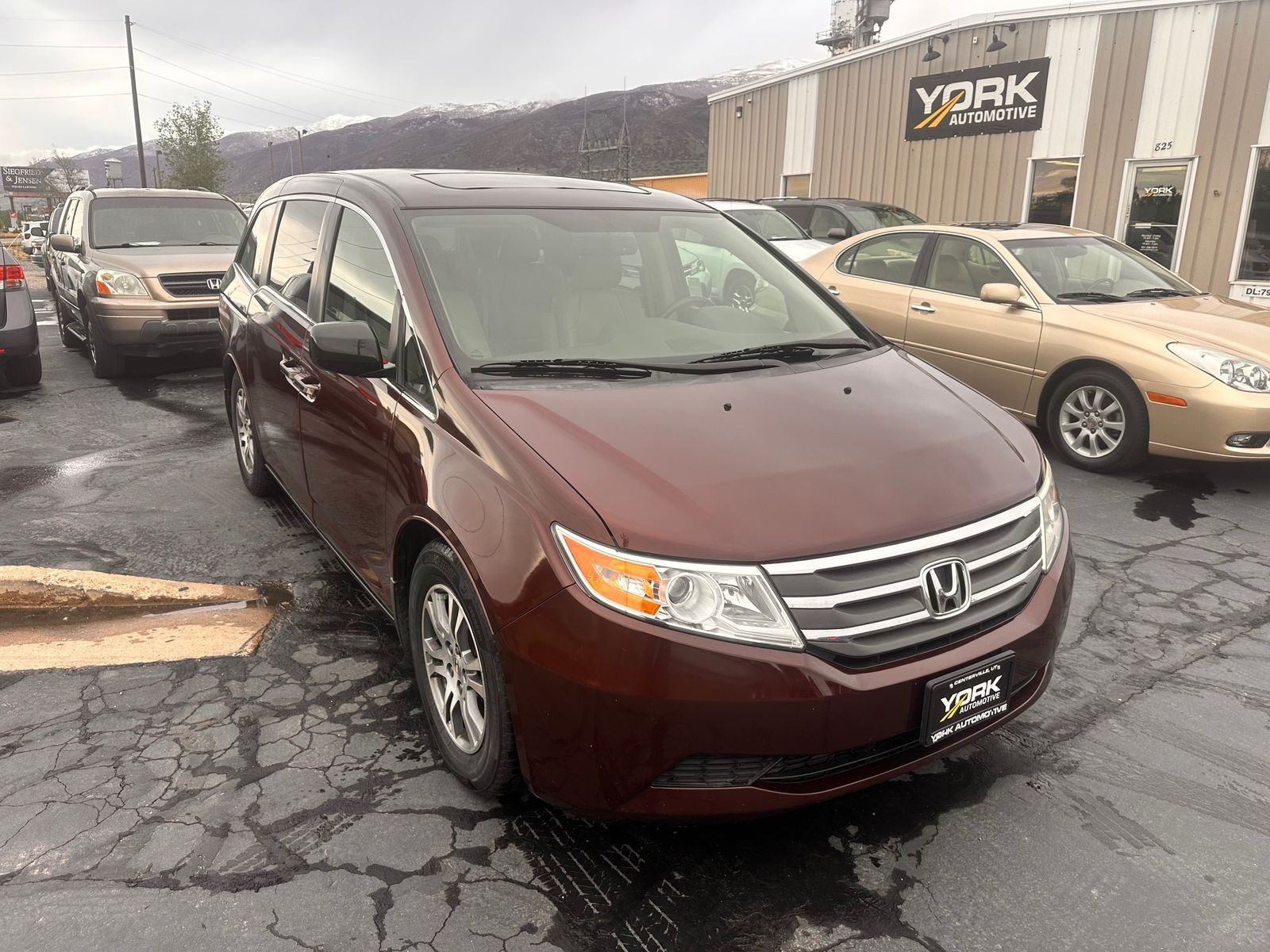 2013 Honda Odyssey EX-L