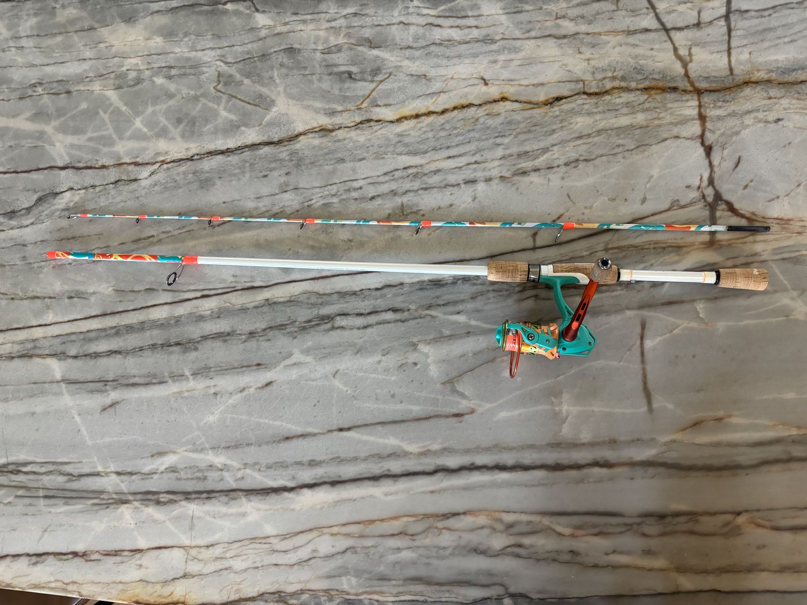 Brand New Profishiency Fishing Pole