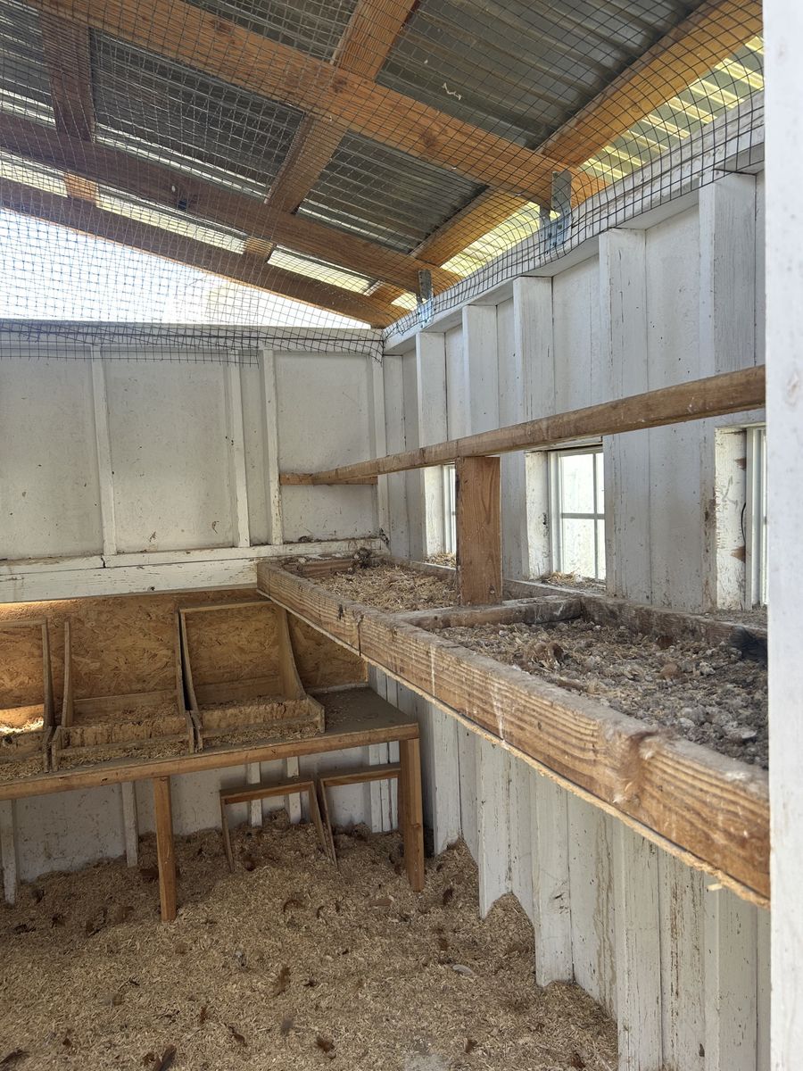 Main image 4