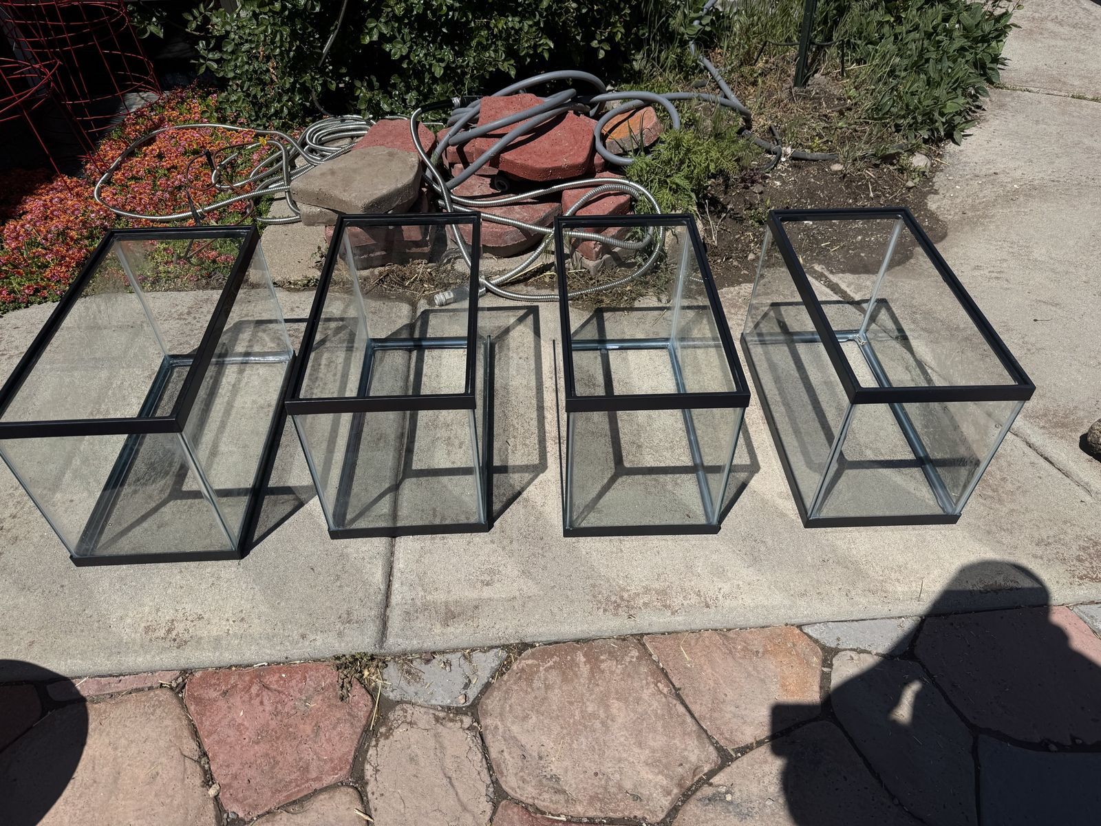 10 Gallon Tanks (X4)