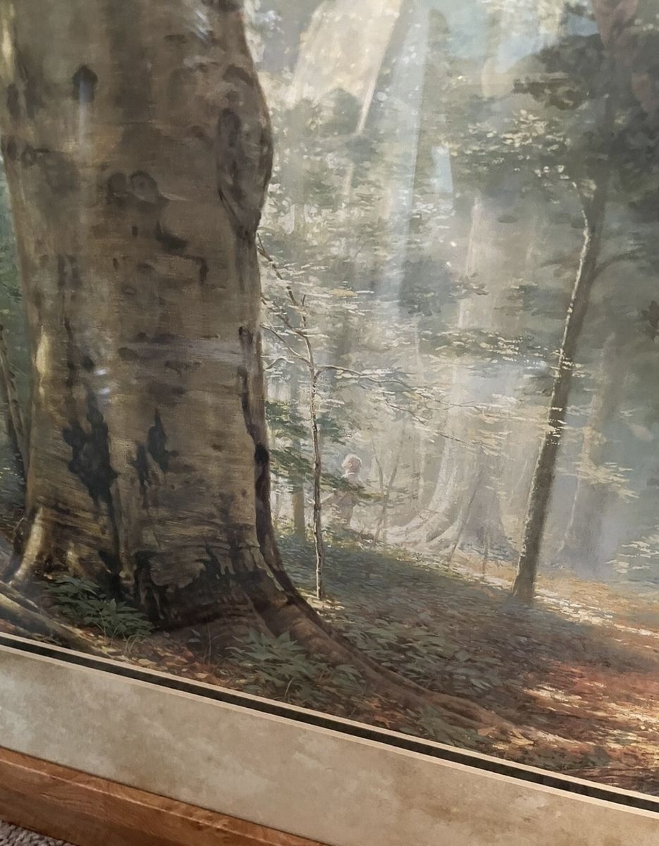 Main image 5
