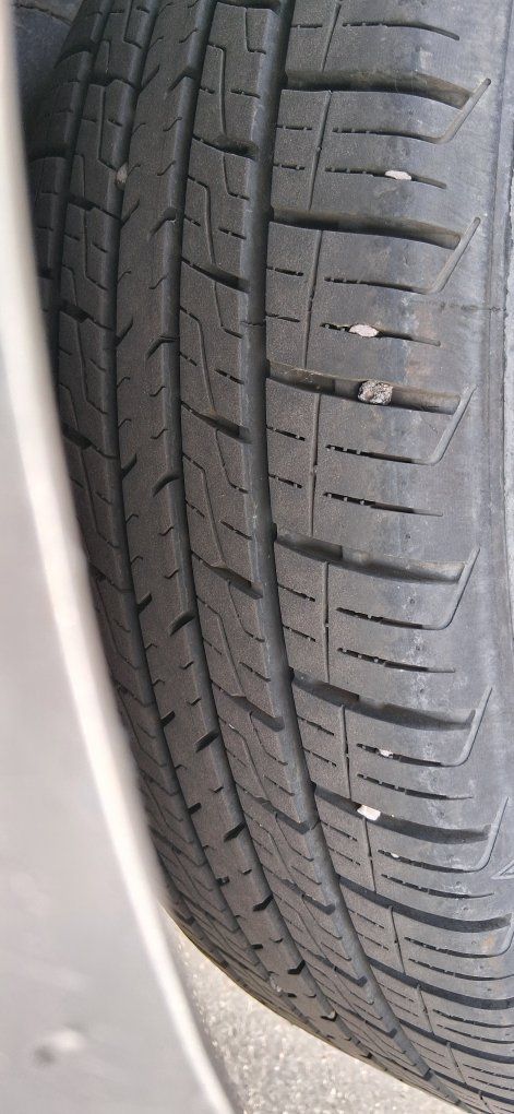 Main image 149