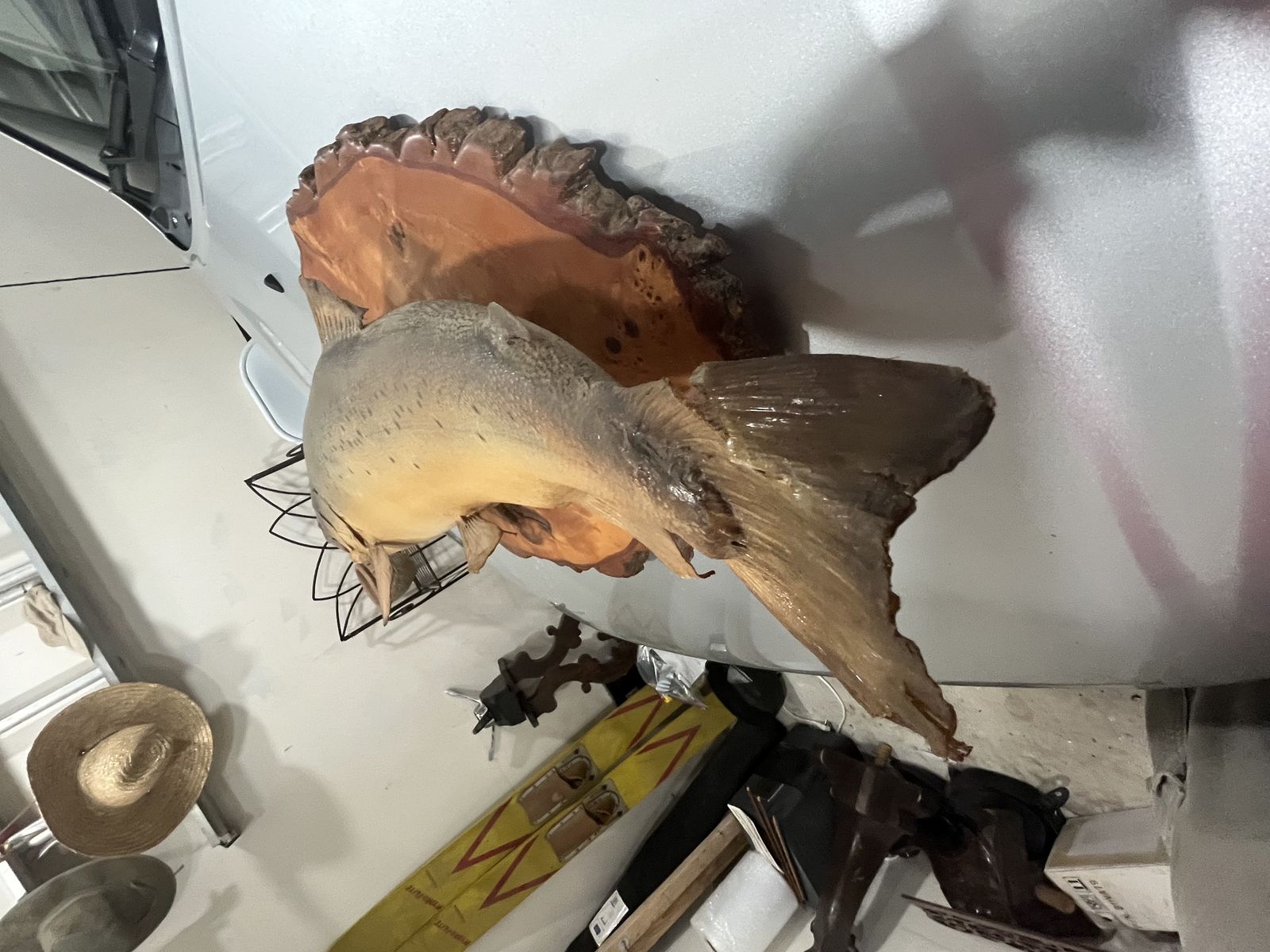Main image 5