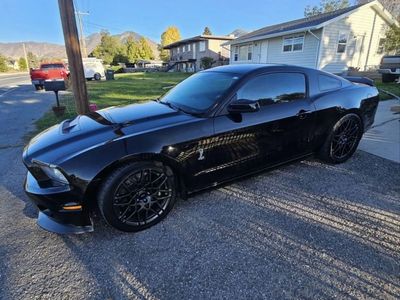 2014 Ford Shelby GT500