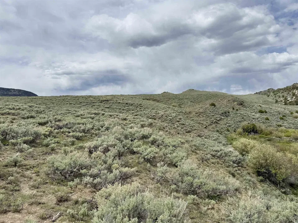 Main image 19