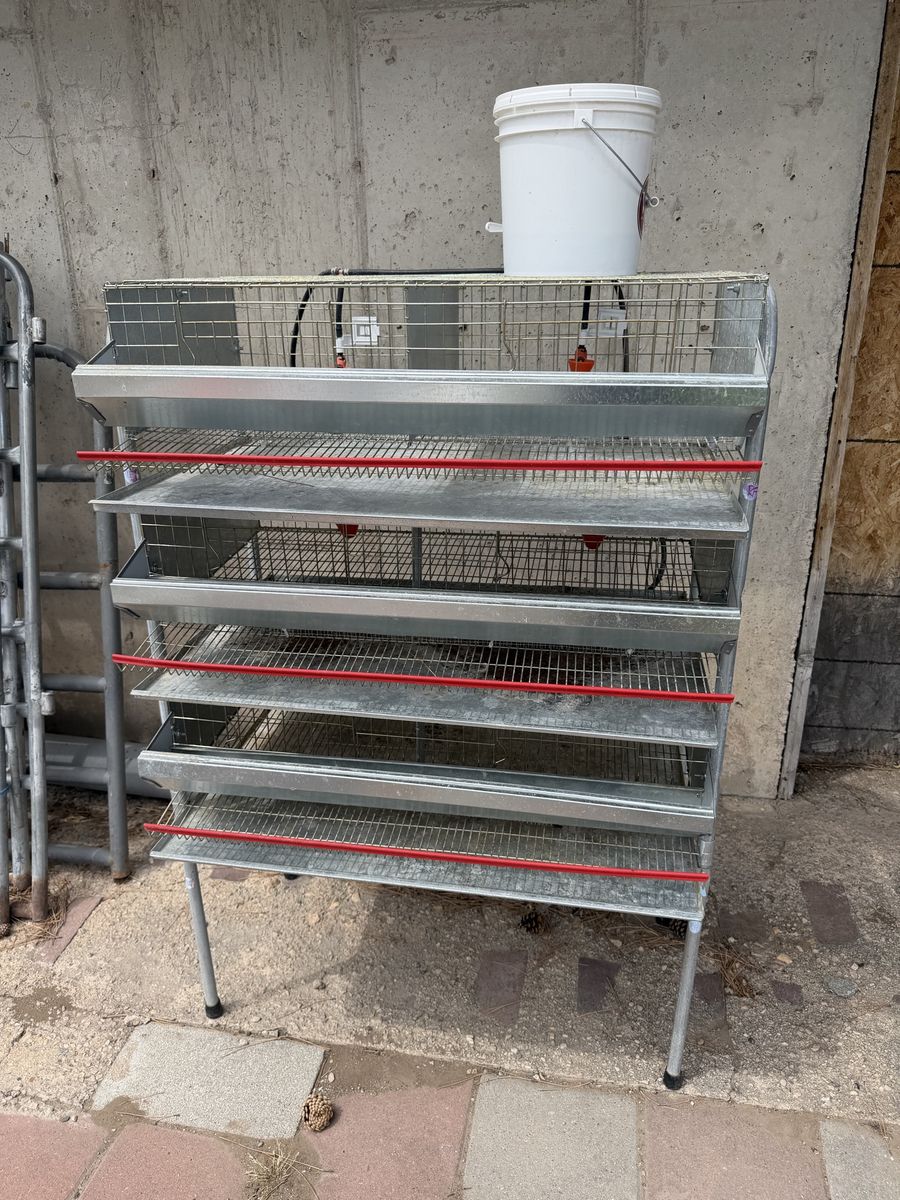 Wynola Ranch Triple Tier Quail Cage