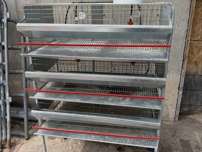 Wynola Ranch Triple Tier Quail Cage