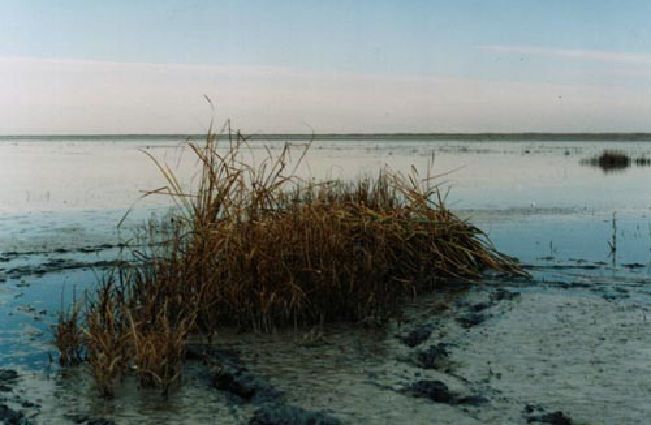 Main image 13