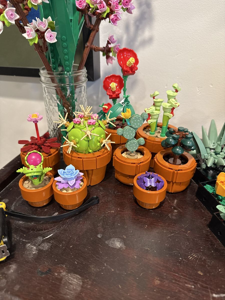LEGO Botanical Collection Tiny Plants Set - Assembled Display
