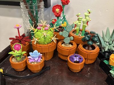 LEGO Botanical Collection Tiny Plants Set - Assembled Display