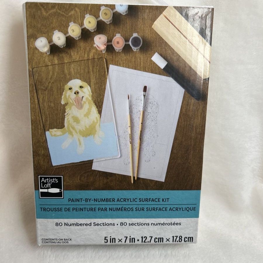 Paint Canvases Sets/Kits 
