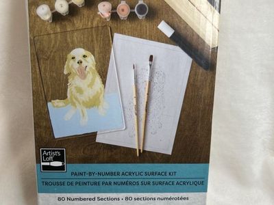 Paint Canvases Sets/Kits
