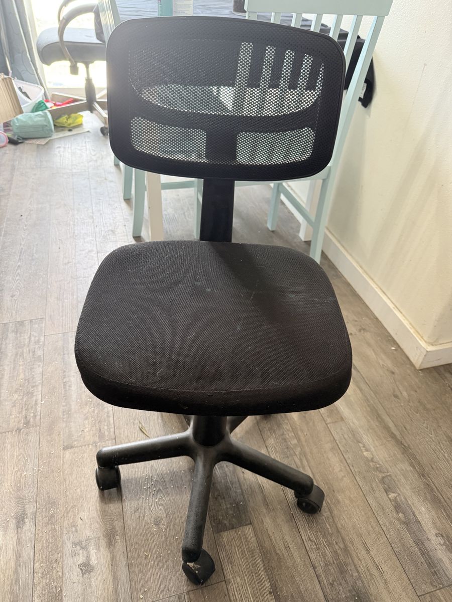 Kid Computer Desk Chair