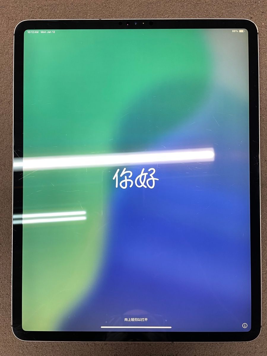 Apple iPad Pro 12.9" 3rd Gen 2018 (Cellular/WiFi) w/ case and pencil