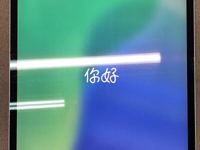 Apple iPad Pro 12.9" 3rd Gen 2018 (Cellular/WiFi) w/ case and pencil