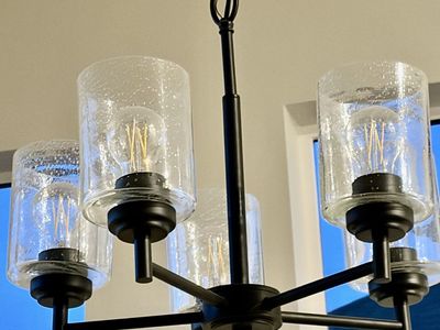 Brand New Modern Black 5-Light Chandelier with Seeded Glass Shades