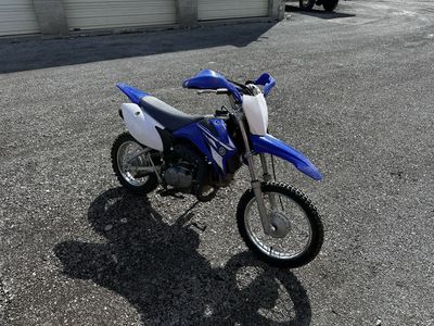 2008 Yamaha TTR110