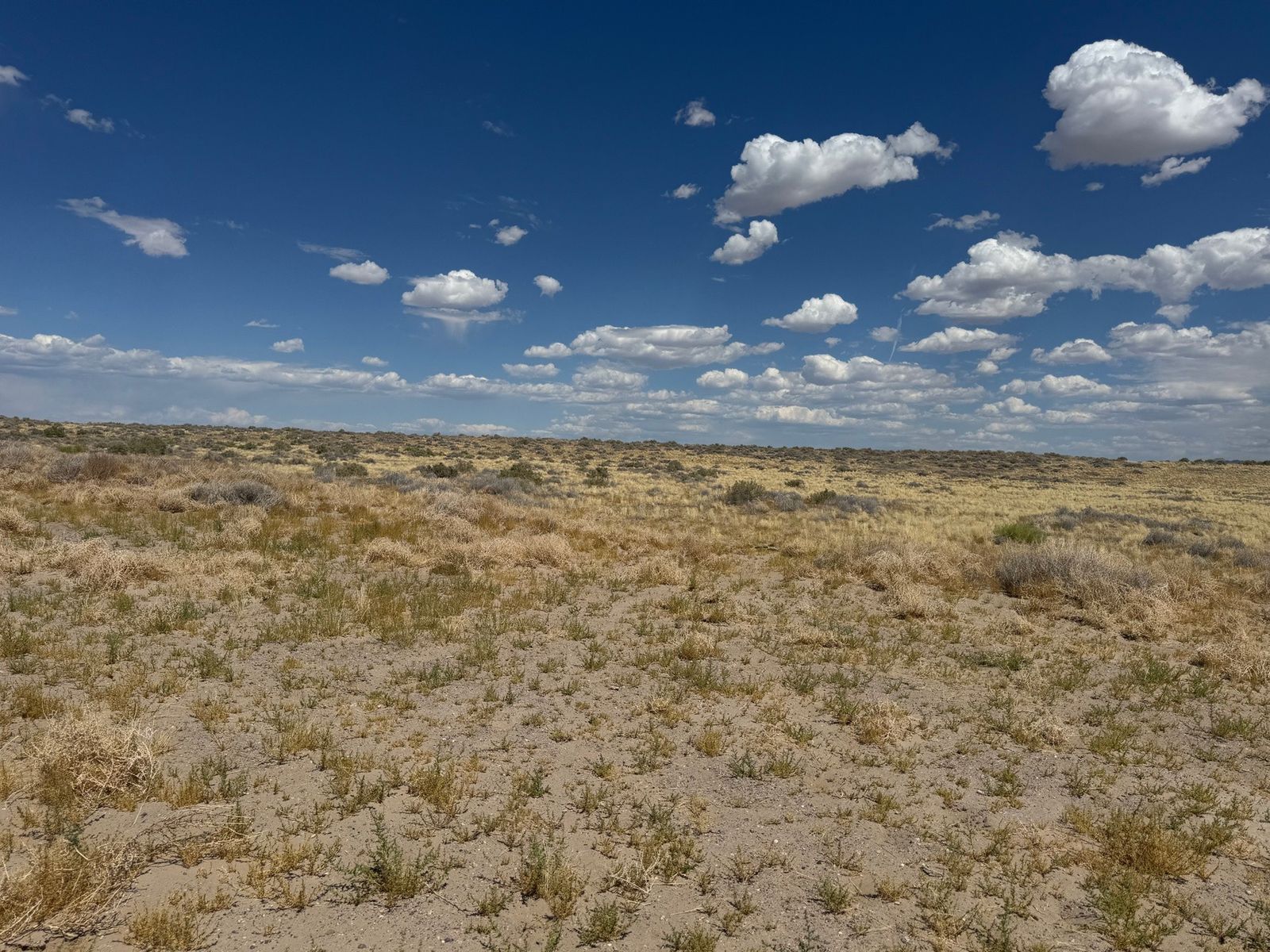Main image 4