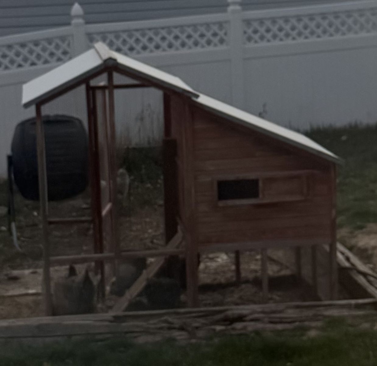 6 laying chickens and chicken coop