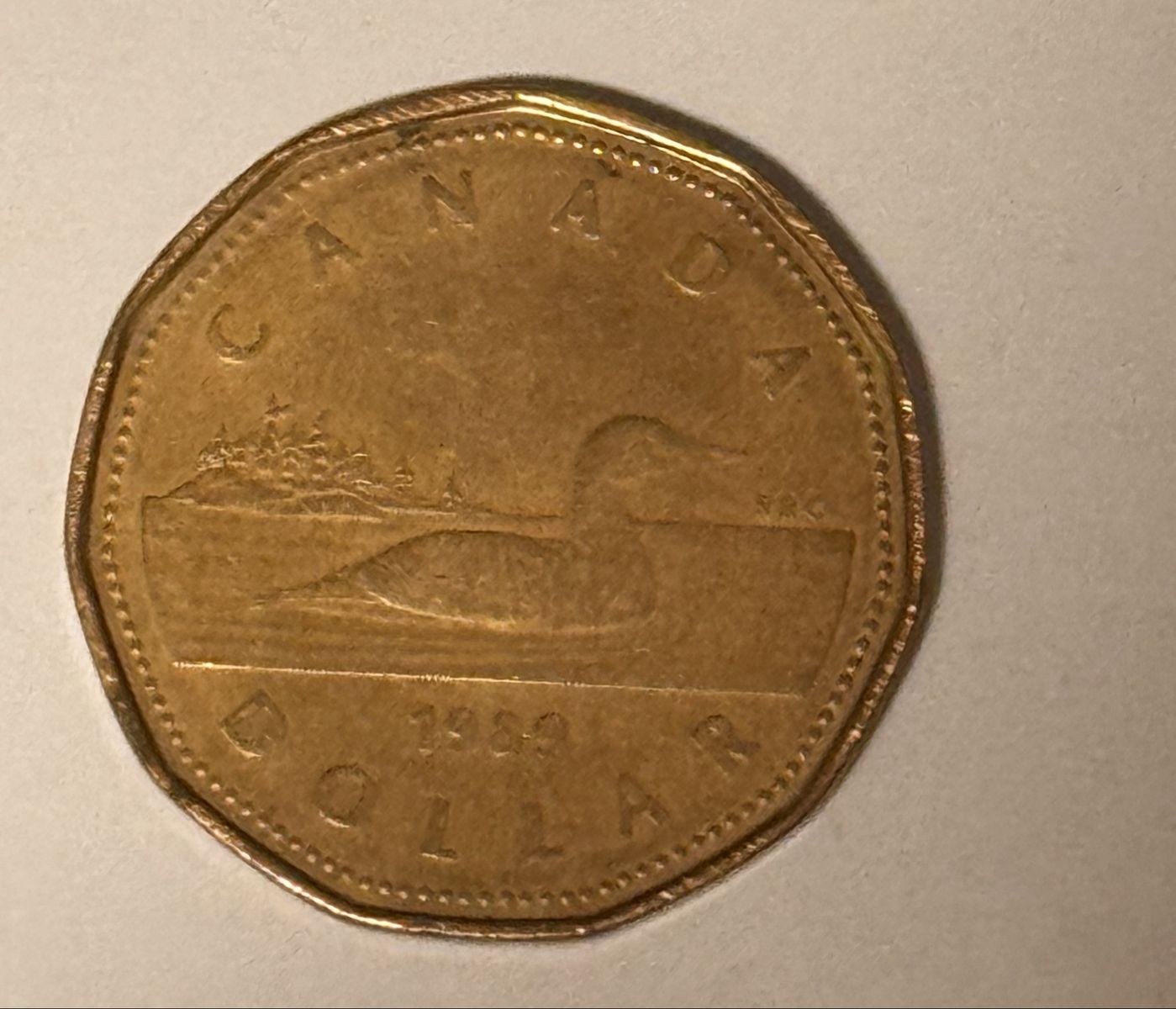 Canada Loonie Dollar Coin Canadian Loon Queen Elizabeth Duck Back